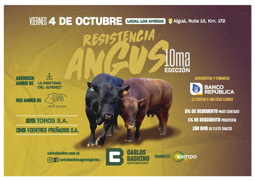 LOTES EN VENTA PARTICULAR