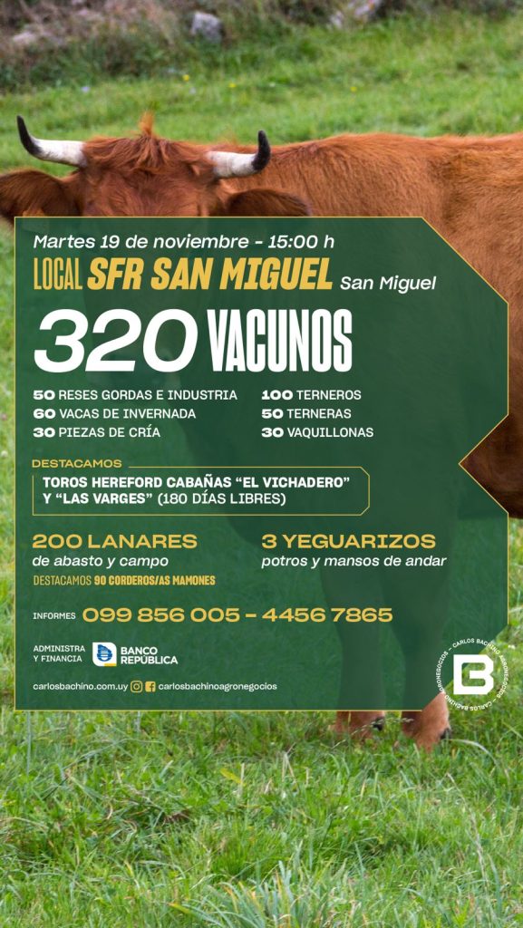 Feria SFR San Miguel, 18 de Julio.
