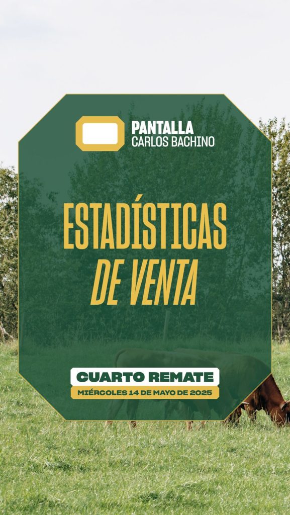 ESTADISTICAS DE VENTAS