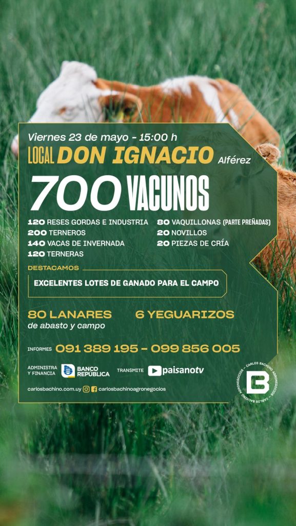 FERIA MENSUAL LOCAL «DON IGNACIO»