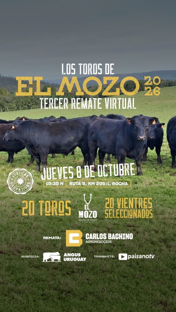 LOS ANGUS DE «EL MOZO»