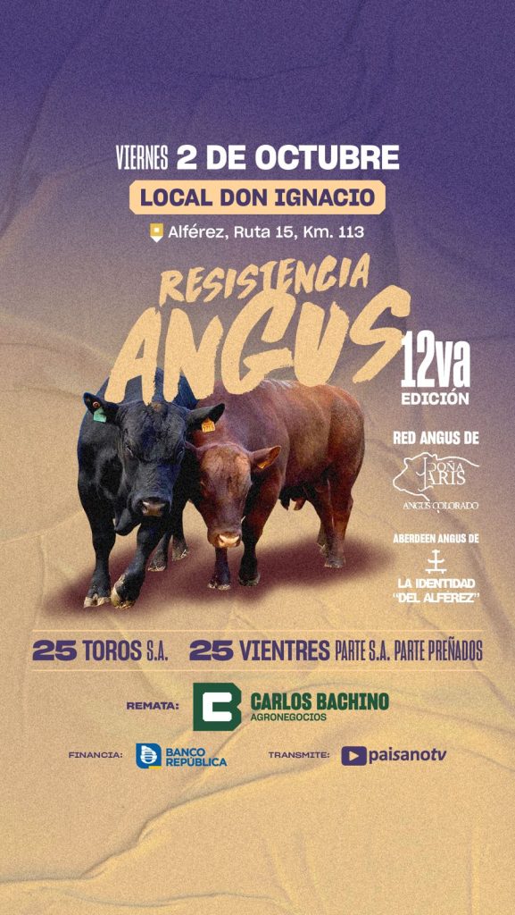 RESISTENCIA ANGUS «Doña Aris»  y «La Identidad del Alférez»