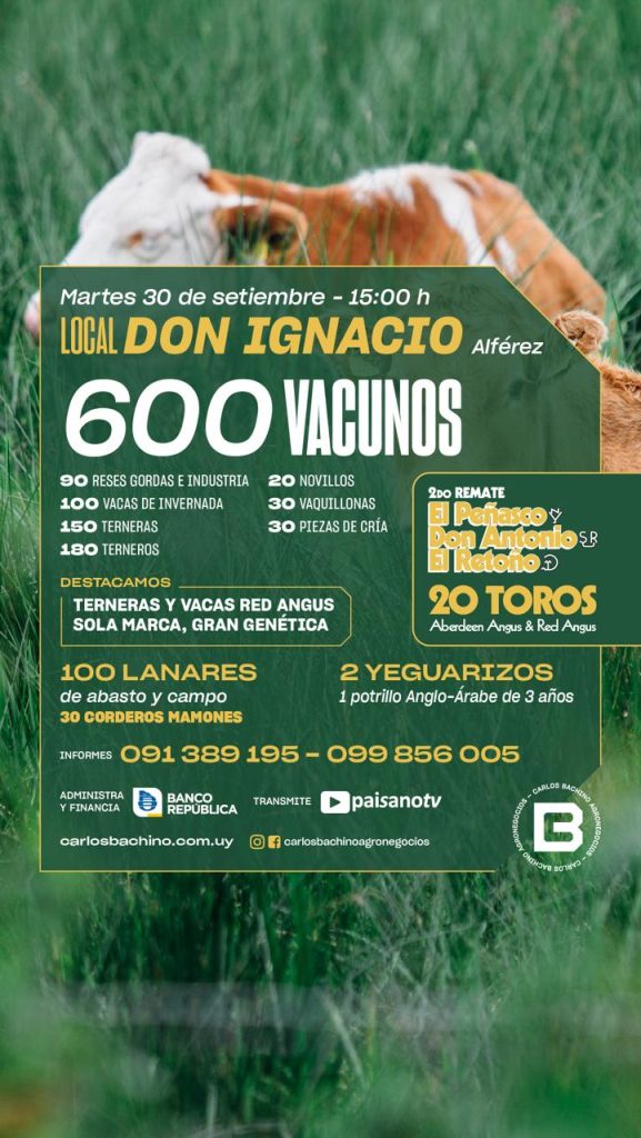 Feria mensual «DON IGNACIO»