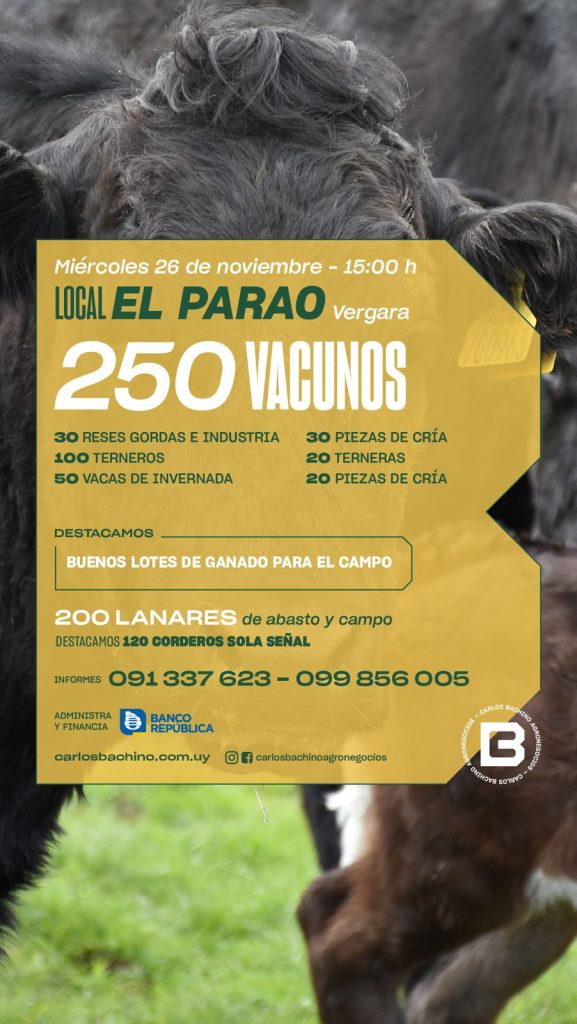 Feria mensual «EL PARAO»